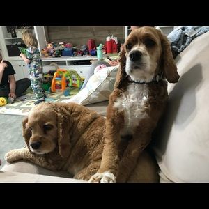 Meet your Posher, Rhianna